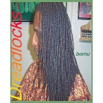 Loc Maintenance w/ Natural Products